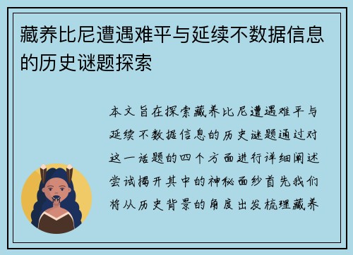藏养比尼遭遇难平与延续不数据信息的历史谜题探索
